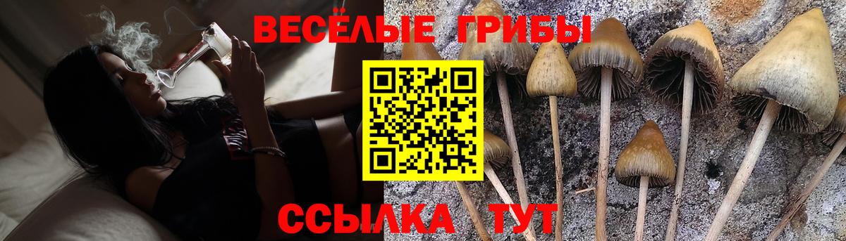 Галлюциногенные грибы прущие грибы Сарапул