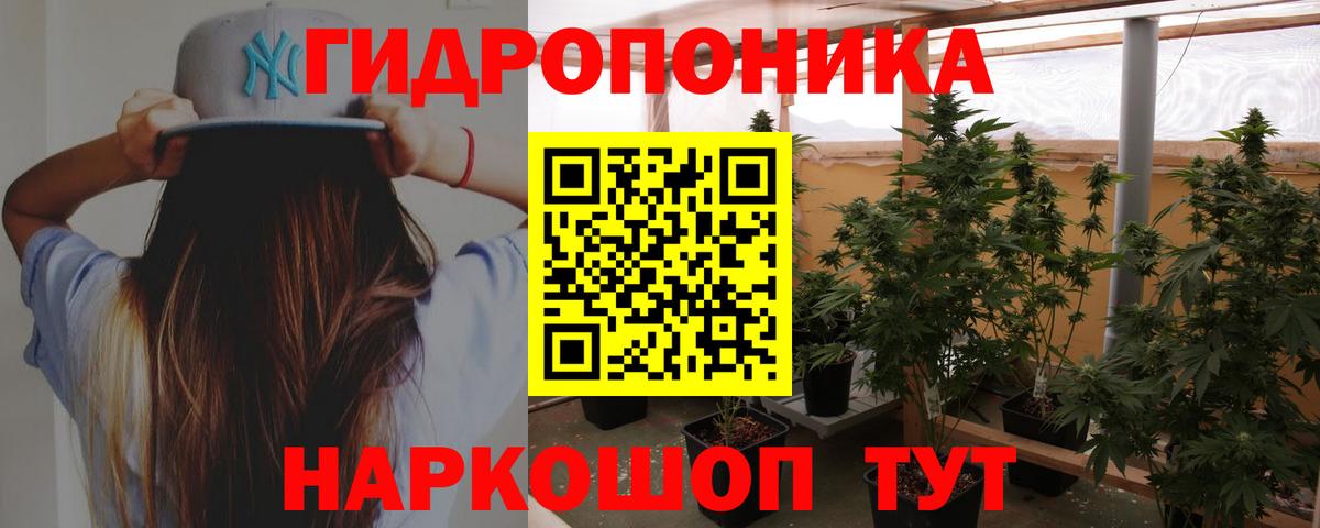 Конопля VHQ  Вход с VPN  Сарапул  Конопля Bruce Banner  Бошки марихуана план 